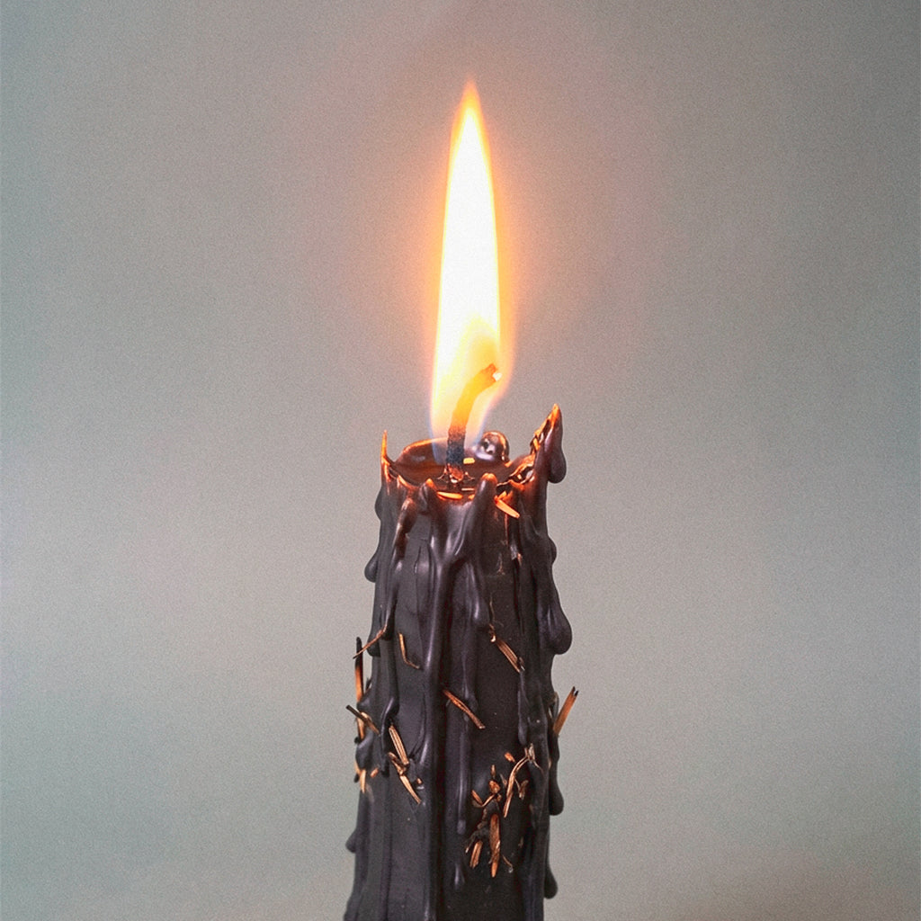 Coffret Atelier Datura - PRECOMMANDE