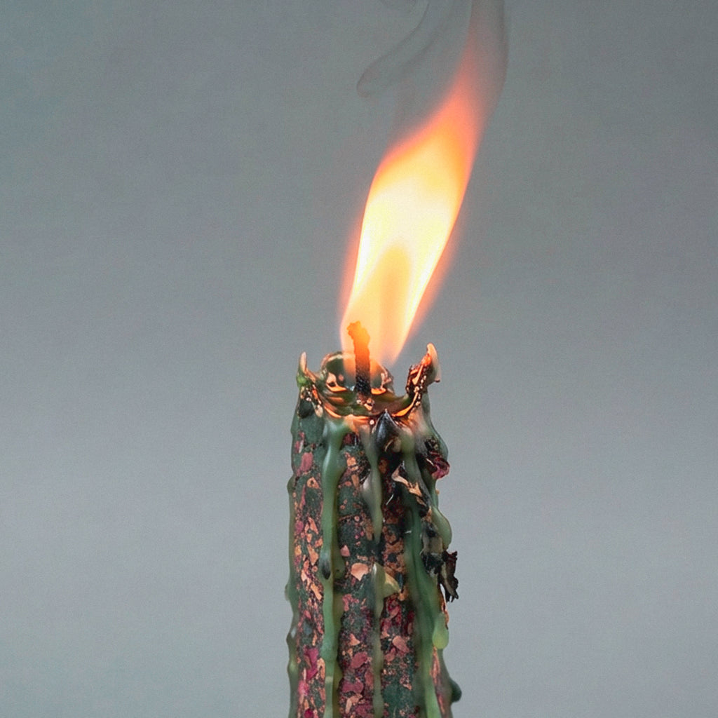 Coffret Atelier Datura - PRECOMMANDE