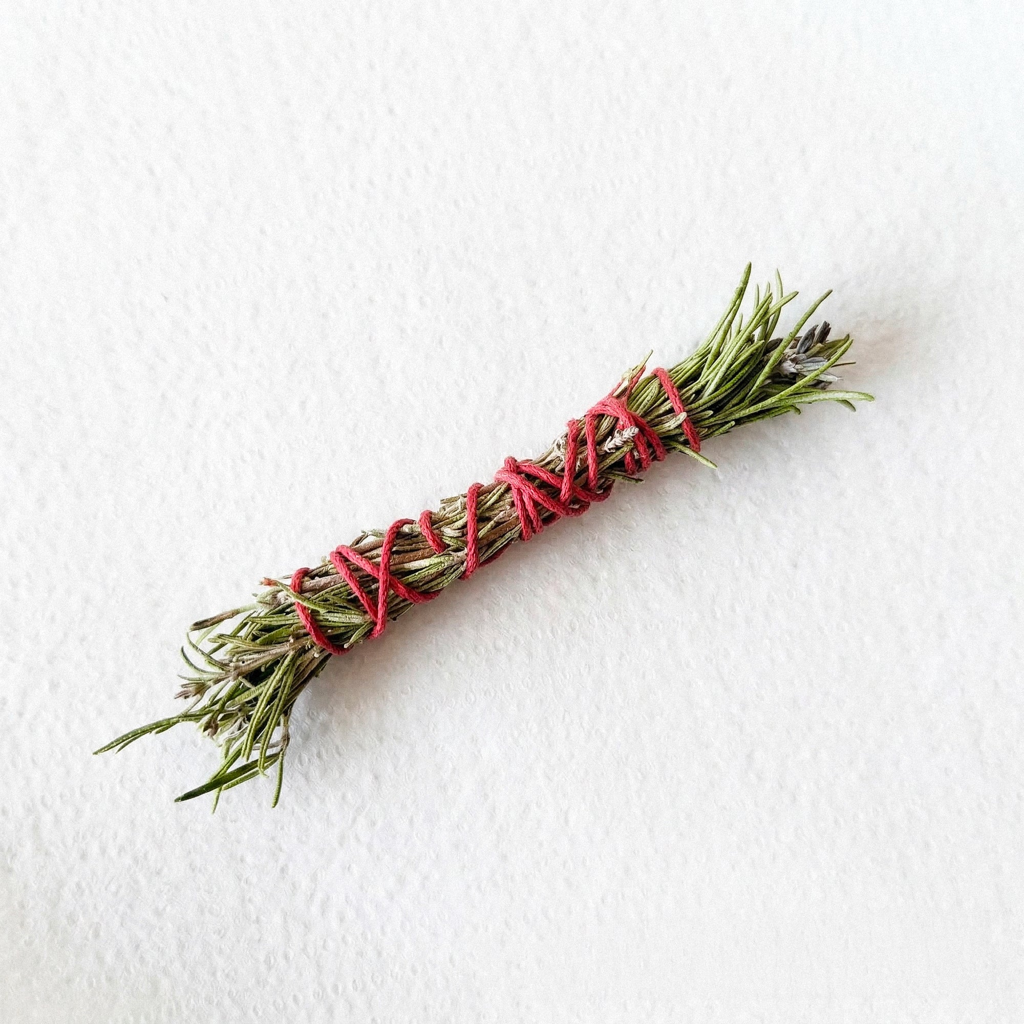 Protection du sud - Mini fumigation