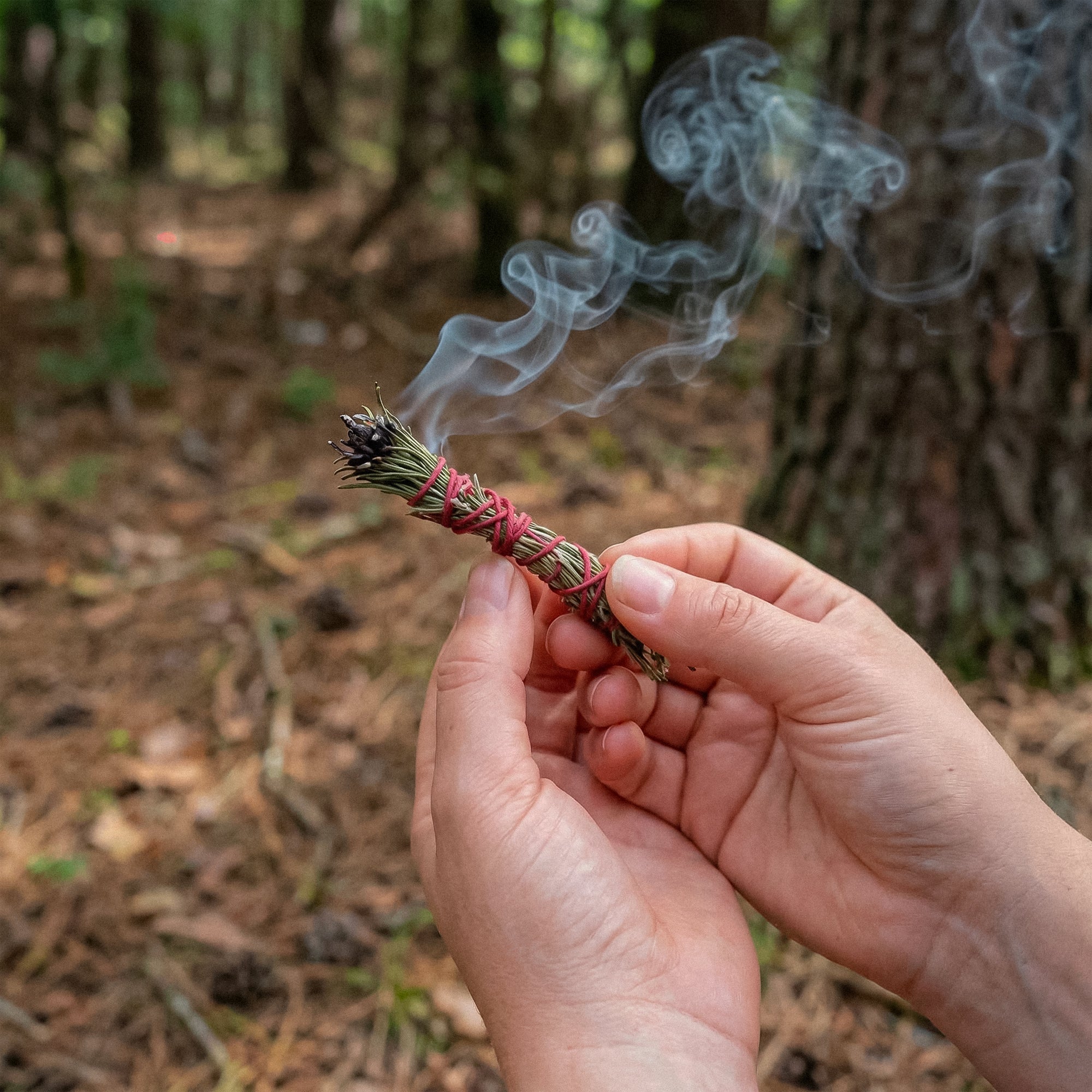 Protection du sud - Mini fumigation